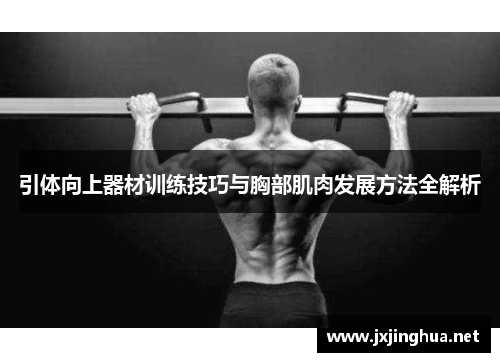 引体向上器材训练技巧与胸部肌肉发展方法全解析