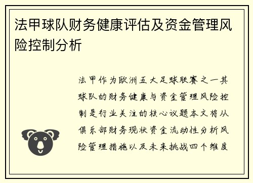 法甲球队财务健康评估及资金管理风险控制分析