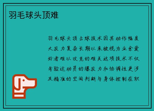 羽毛球头顶难
