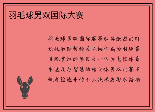 羽毛球男双国际大赛